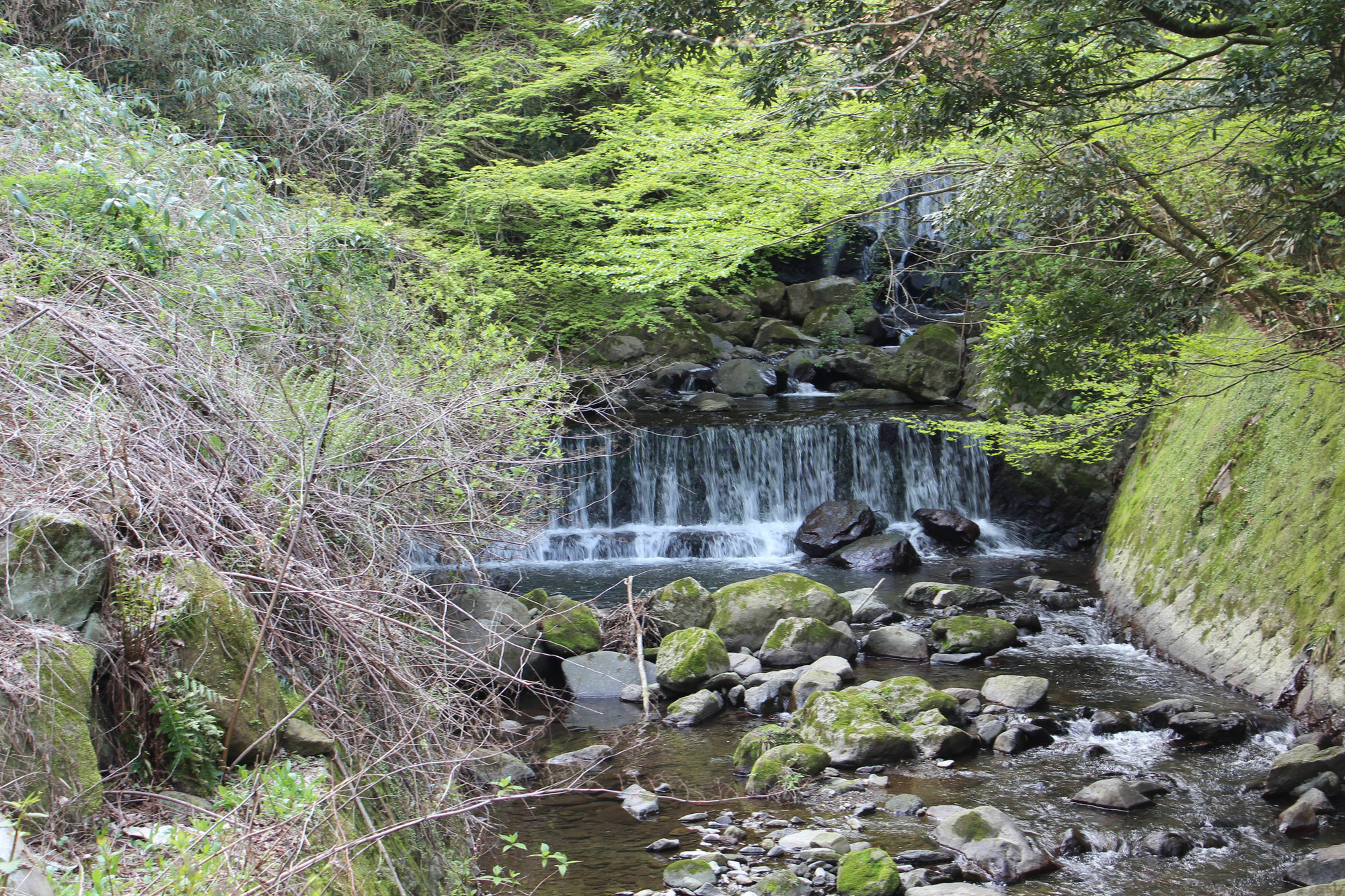 Toi Hakone